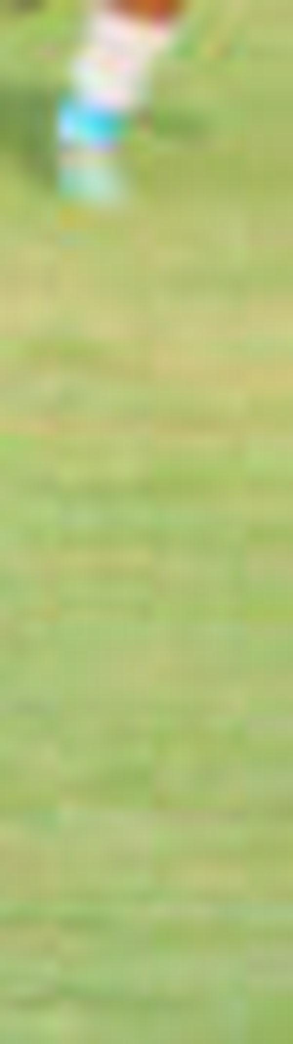 imagen principal home