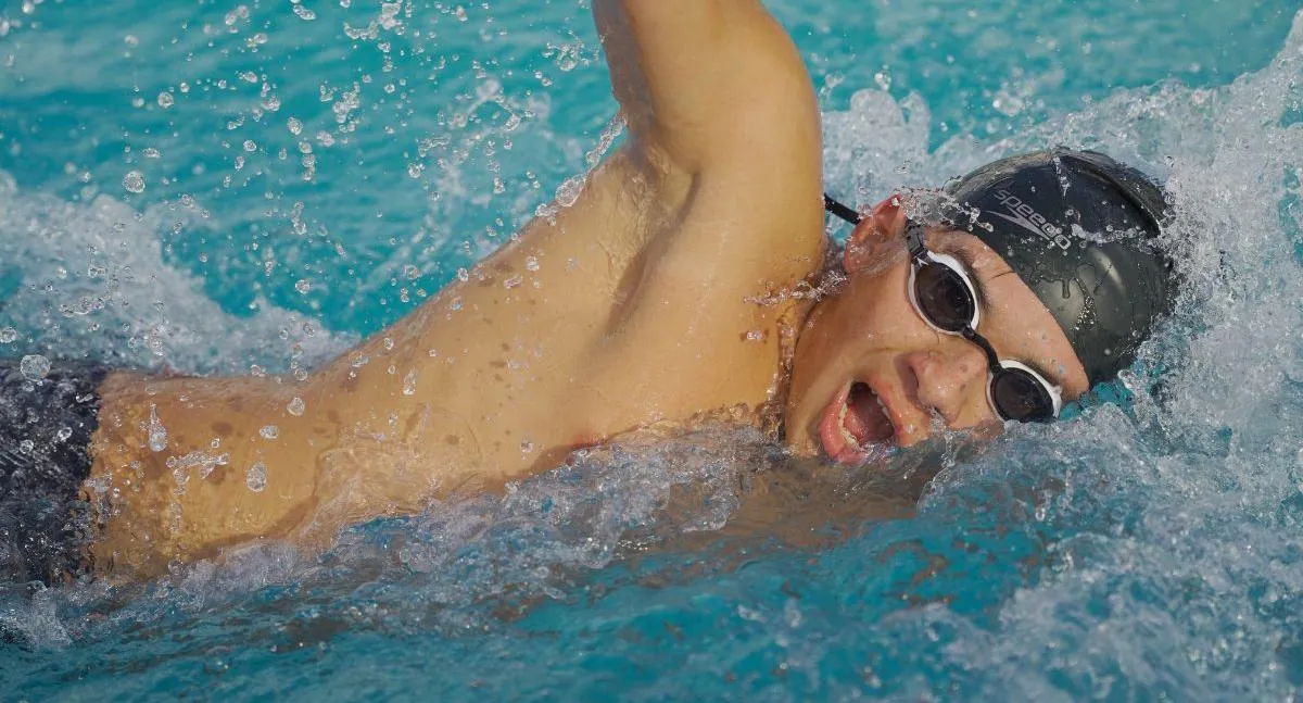 Imagen representativa del artículo