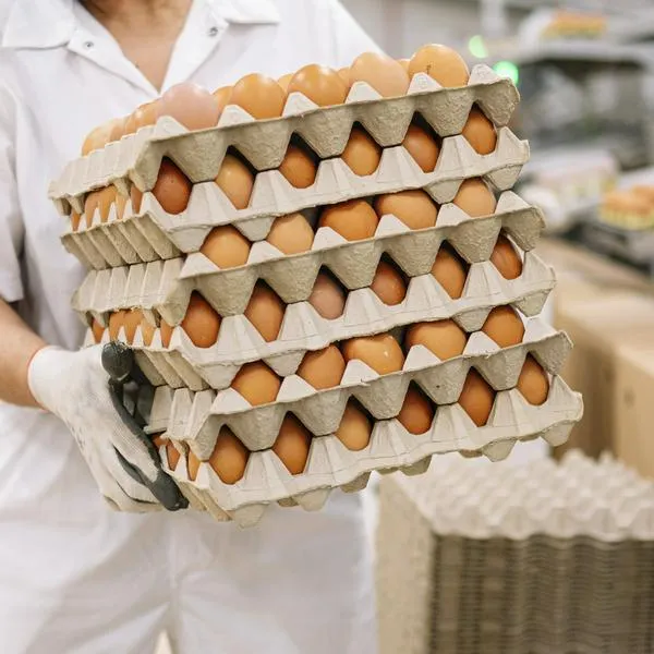 Consumo de huevo y pollo en Colombia: qué pasará con gripe aviar