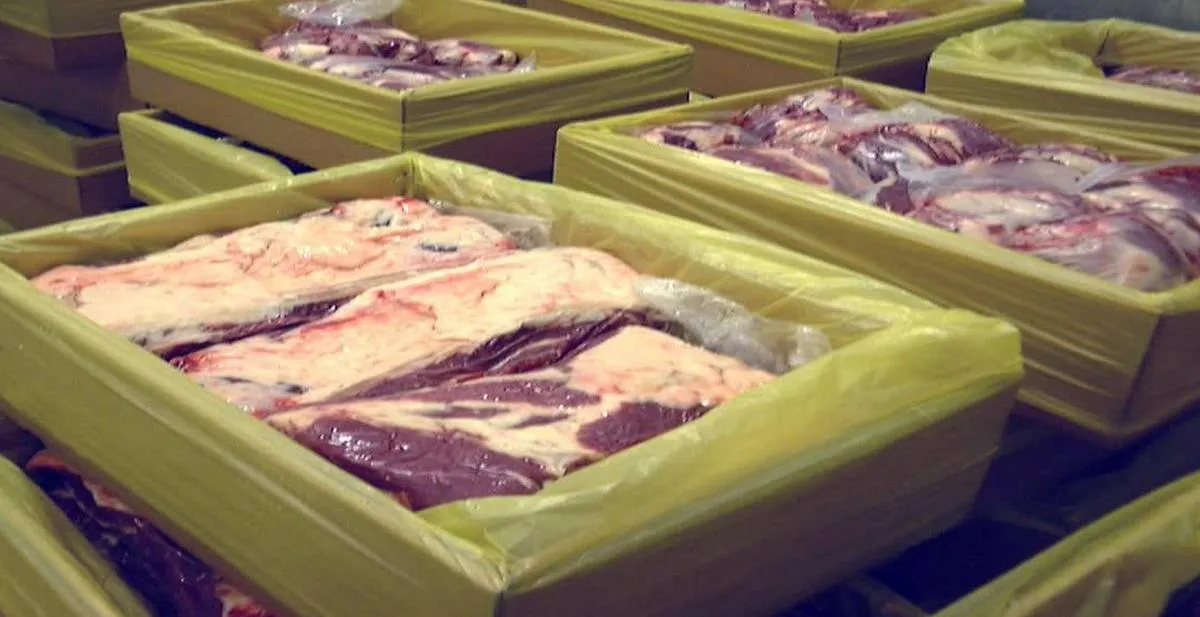 Imagen representativa del artículo