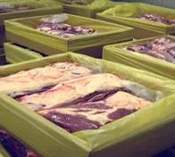 Sector ganadero colombiano exportó US$25 millones en enero de 2026, con China y Egipto entre los principales destinos