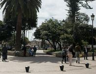 ¿Sabes qué es la Encuesta Multipropósito? Acá te contamos  