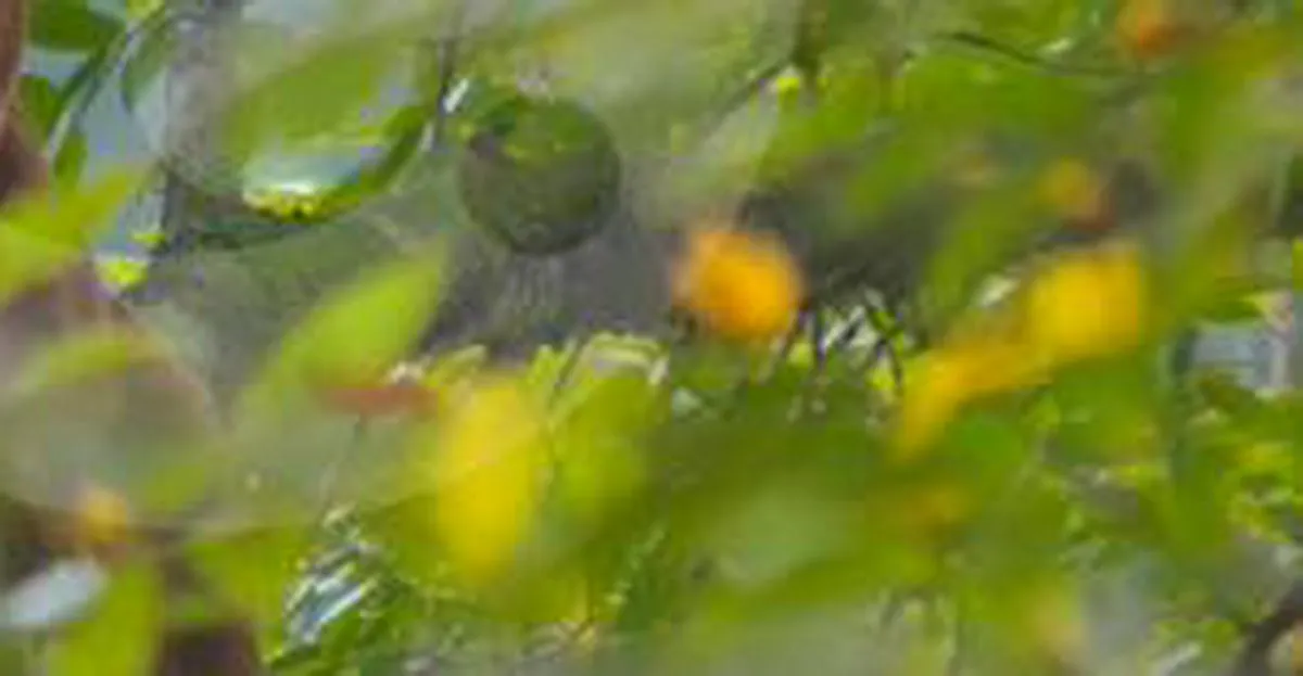 Imagen representativa del artículo