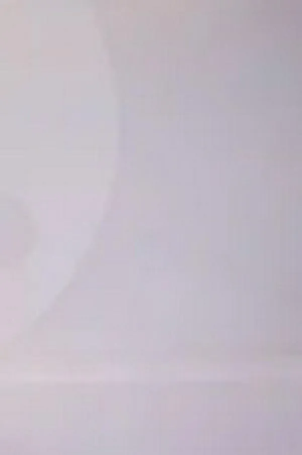 ¿Qué pasará con los partidos que no alcanzaron el umbral y perdieron la personería jurídica?