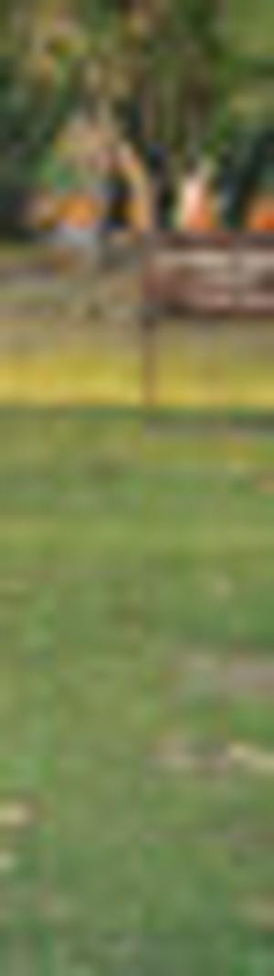 imagen nota inferior