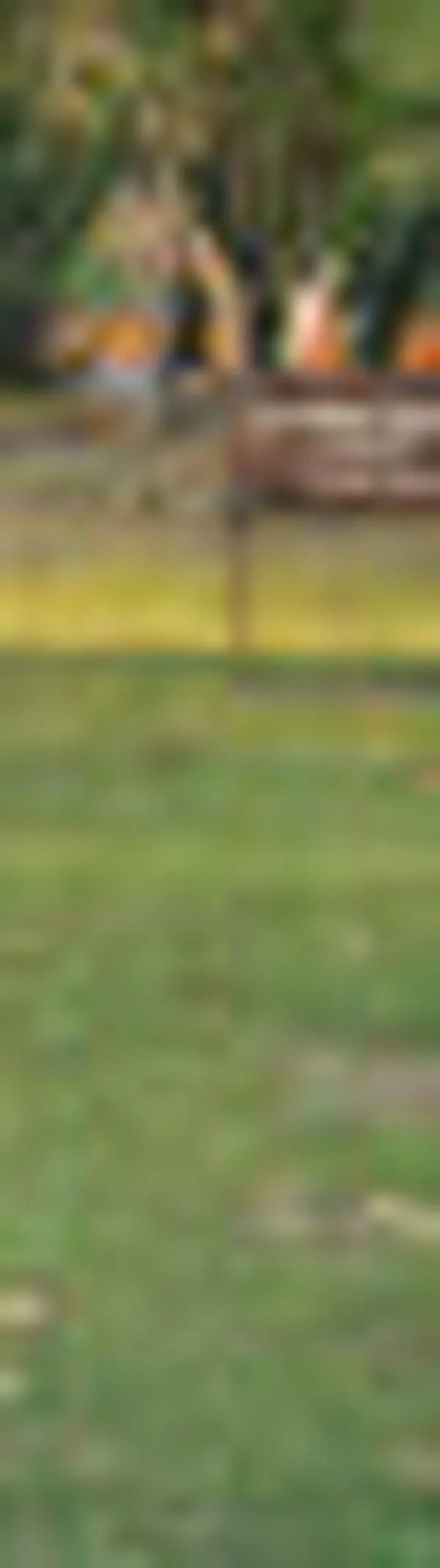 Actividad física mundial no avanza pese al incremento de políticas públicas