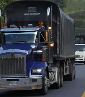 Imagen representativa del artículo