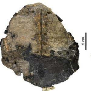 imagen nota inferior