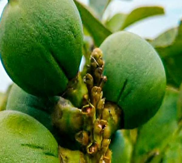 imagen principal home