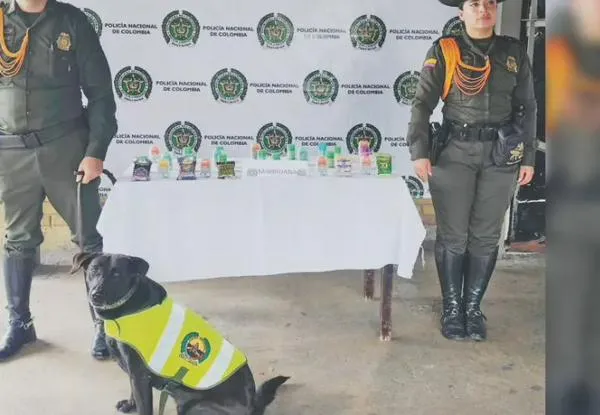 Cayó encomienda con estupefacientes antes de que llegara a su destinatario