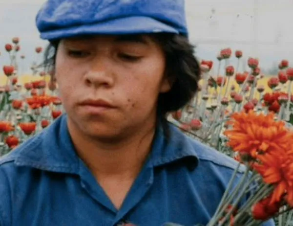 ¡Cine en voz de mujer! Programación de actividades de la Cinemateca de Bogotá durante marzo 