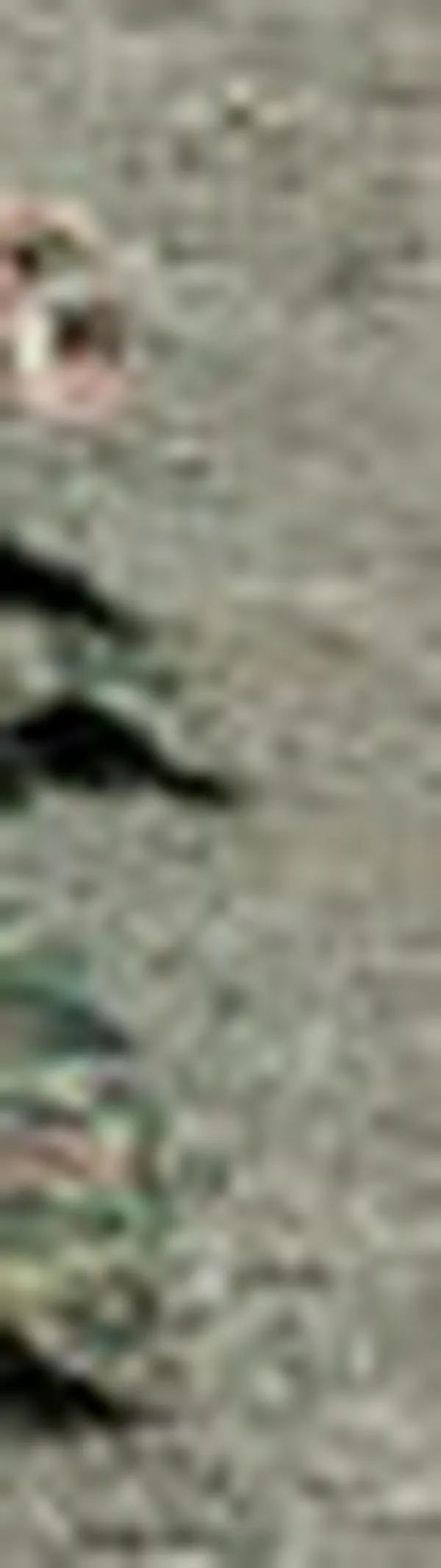 Operativos en Buenaventura dejan cinco muertos