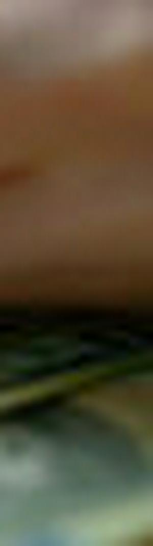 imagen nota inferior