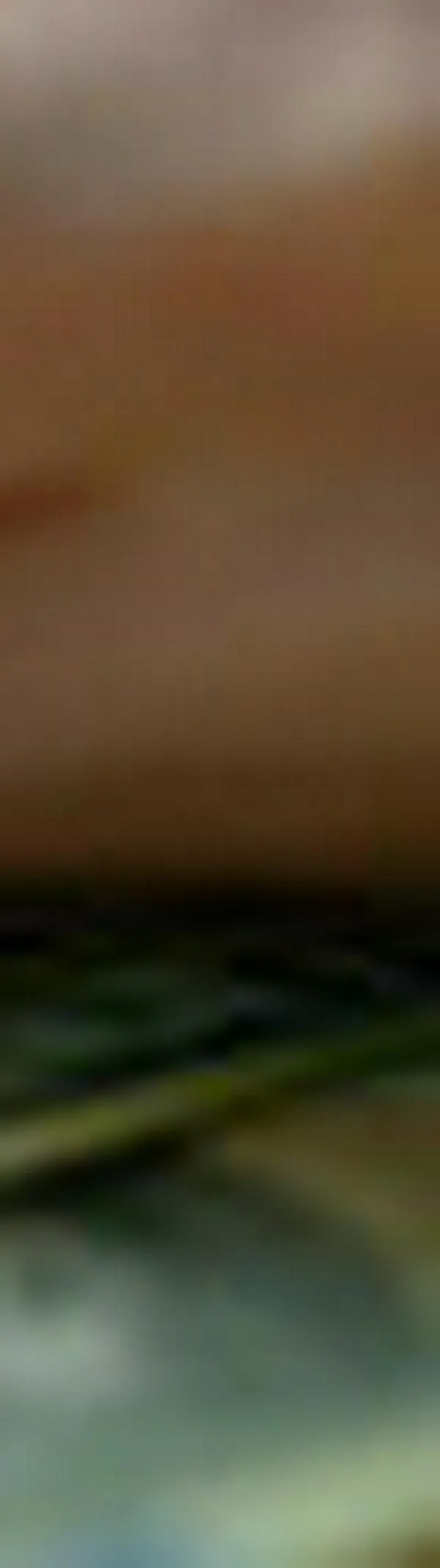 Banca y Gobierno Nacional acuerdan dar 2,1 millones de nuevos créditos y alivios