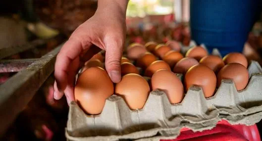 Nueva estrategia sobre huevos en Colombia 2026 apunta a cambiar cómo se consumen