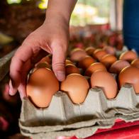 Nueva estrategia sobre huevos en Colombia 2026 apunta a cambiar cómo se consumen