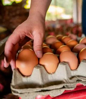 Imagen representativa del artículo