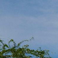 Denuncian “apagón prolongado” en Puerto Carreño que afecta a más de 30.000 personas