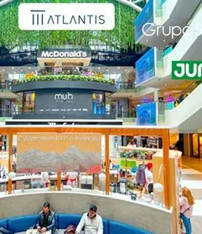 Imagen representativa del artículo