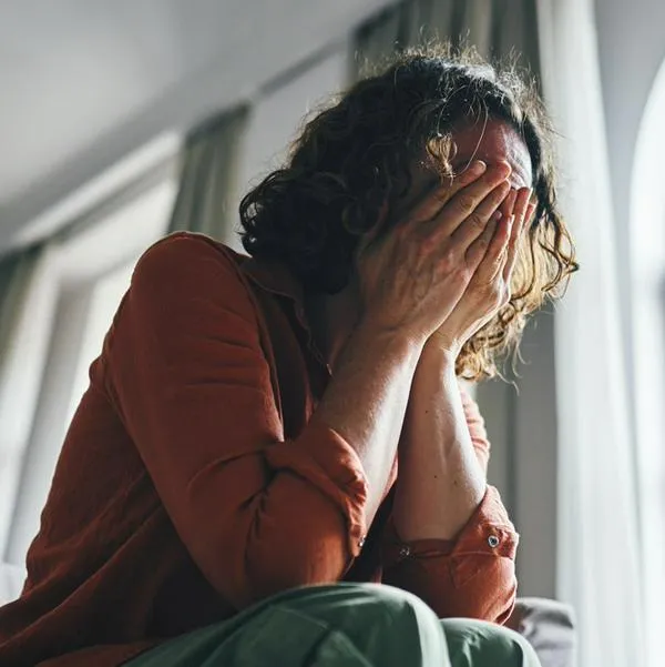 imagen principal home