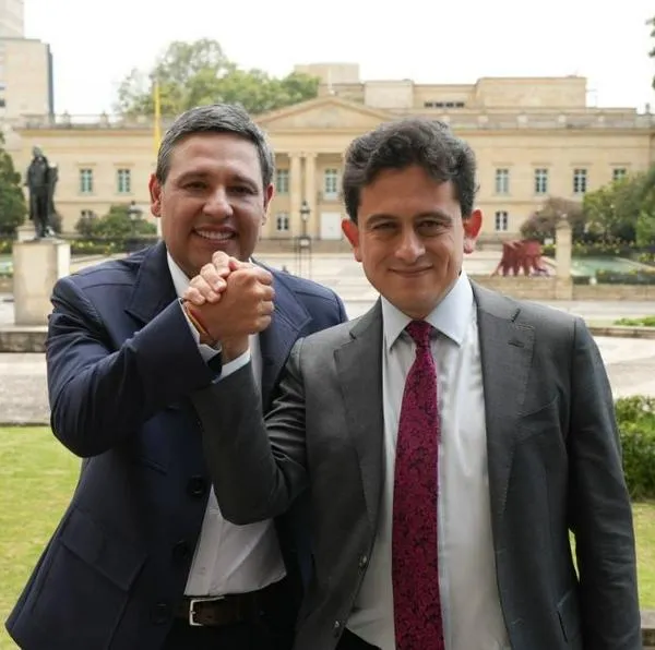 Luis Carlos Reyes, exdirector de la Dian, no será fórmula vicepresidencial en 2026 de Mauricio Lizcano en elecciones de 2026.