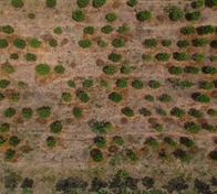 Alta probabilidad de El Niño entre junio y agosto de 2026, advierte Ideam