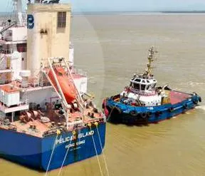 Imagen representativa del artículo