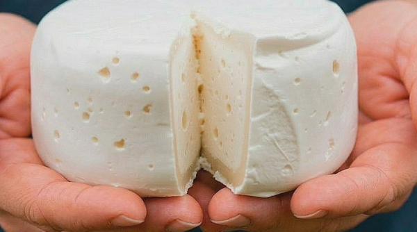 imagen principal home