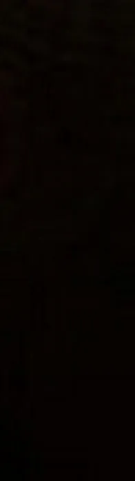 Brujería y comida: por qué algunas personas recomiendan tener cuidado al recibir alimentos de familiares o conocidos