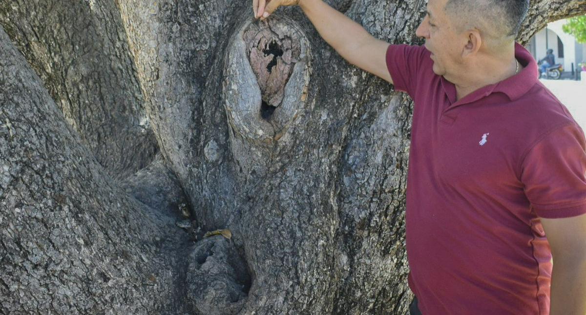 Imagen noticia seccion