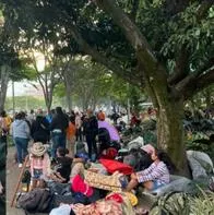 Imágenes de la minga indígena y de Iván Cepeda