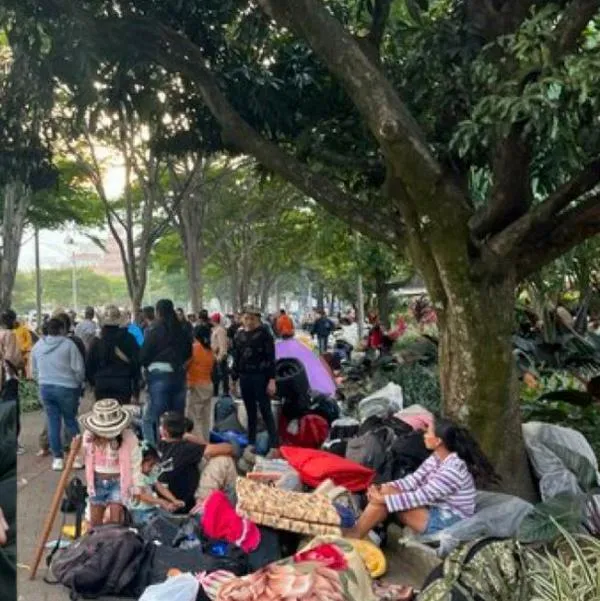 Imágenes de la minga indígena y de Iván Cepeda