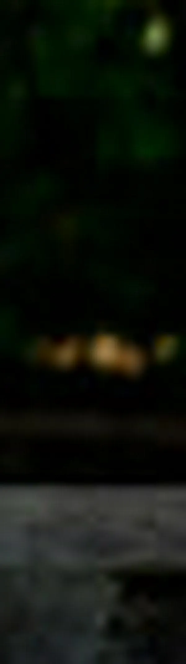 ¿Cómo vivir con personas difíciles?