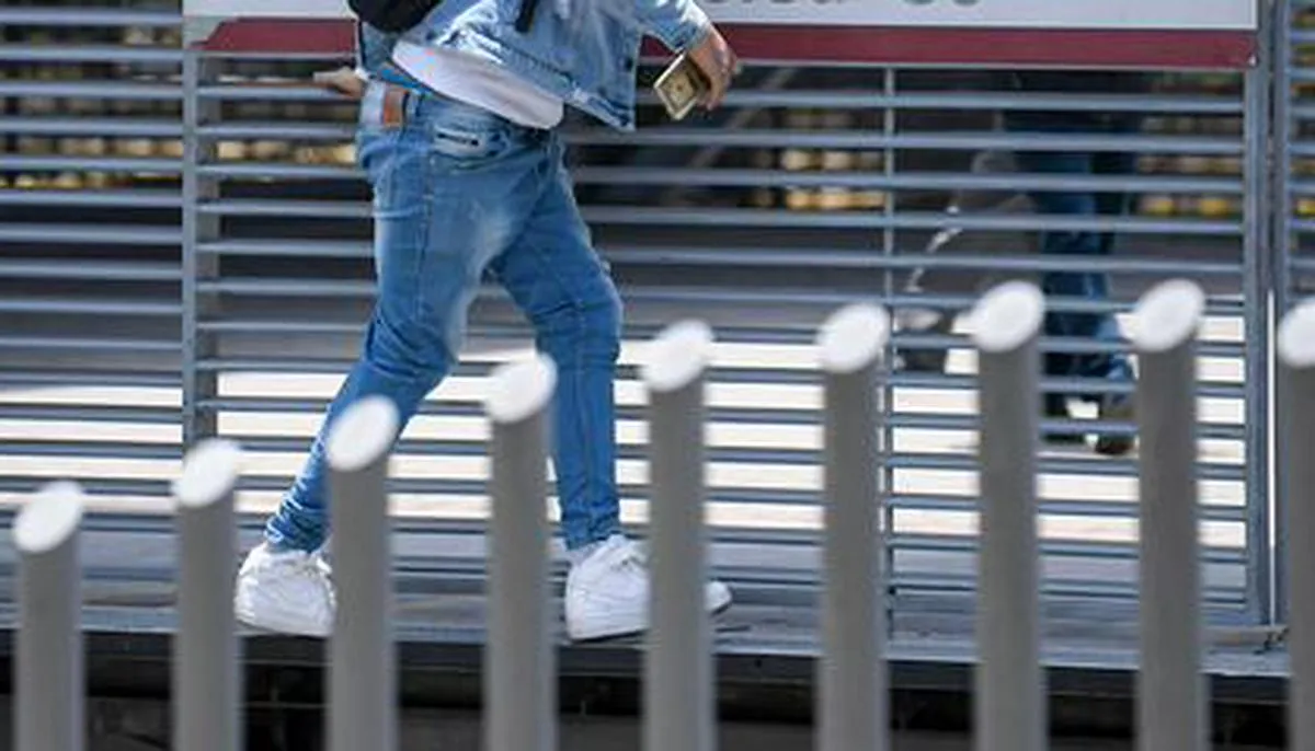 Imagen representativa del artículo