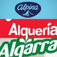 Tras la salida de Gloria (Algarra), Alpina y Alquería lideran el mercado lácteo en Colombia. Conozca las cifras de ingresos, ganancias y el impacto. 