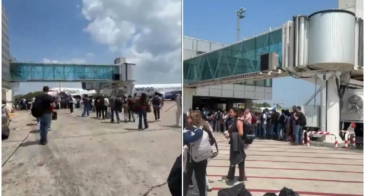 Imagen representativa del artículo