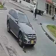 Joven le pasó por encima con su camioneta Mercedes a un perro, lo mató y se voló