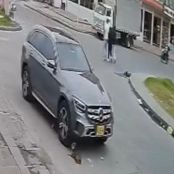 imagen principal home