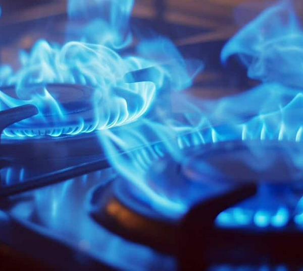 imagen principal home