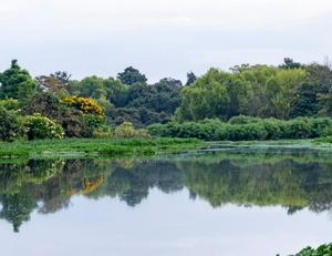 imagen nota inferior