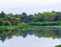 Bogotá instala moderna estación de monitoreo en el canal del humedal Córdoba de Suba 