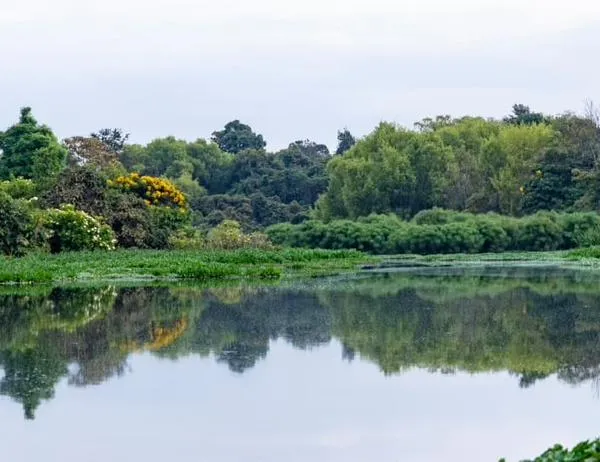 Bogotá instala moderna estación de monitoreo en el canal del humedal Córdoba de Suba 