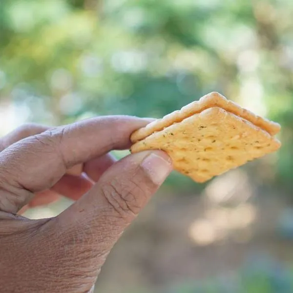 imagen principal home