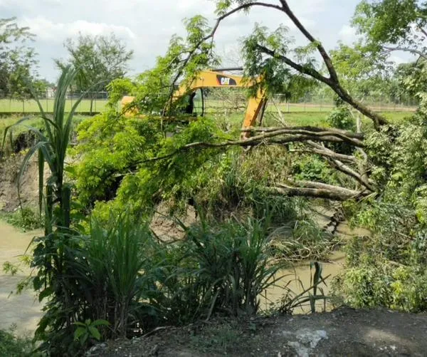 Grave denuncia en Jamundí: quema de cultivos, sacrificio de ganado e invasión de tierras privadas