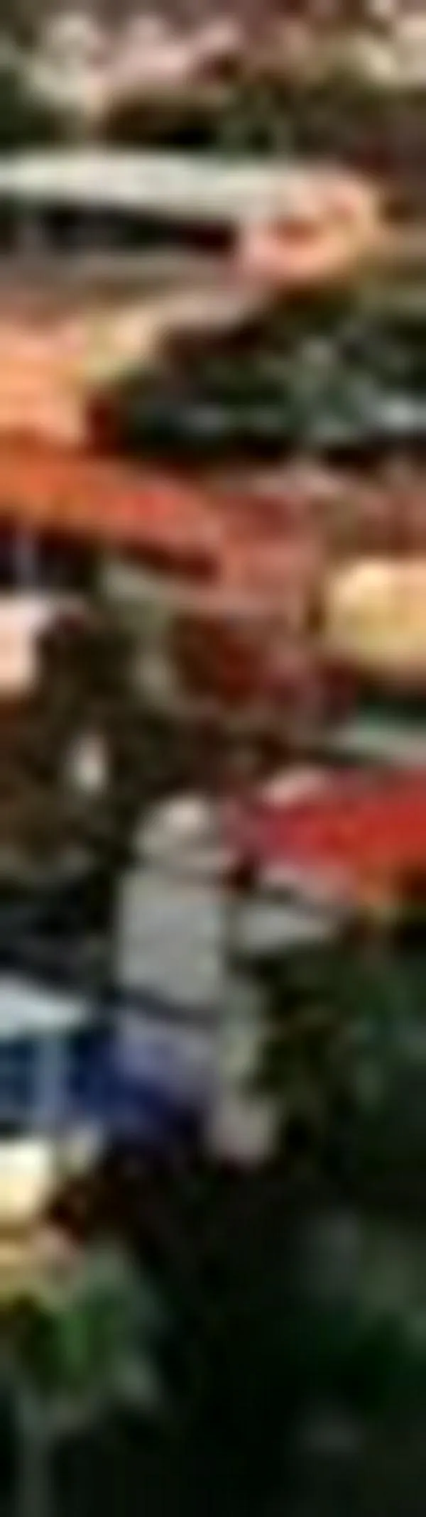 Banda criminal obligaba a traspasar propiedades en Candelaria