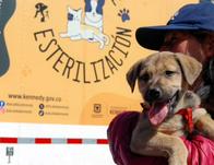 Jornadas veterinarias y de esterilización gratis para perros y gatos en Kennedy: conoce los puntos y asiste del 20 al 31 de marzo 