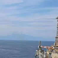 ANH reporta resultados exploratorios positivos en el pozo Copoazú-1