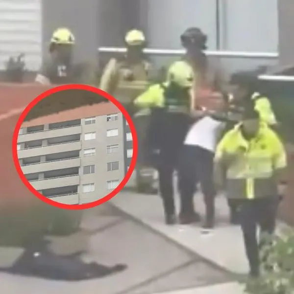 Conmoción en un conjunto residencial de Bogotá este 19 de marzo. Un sujeto identificado como Johan Esteban Velazco Posada arrojó a un perro llamado 'Tonny'