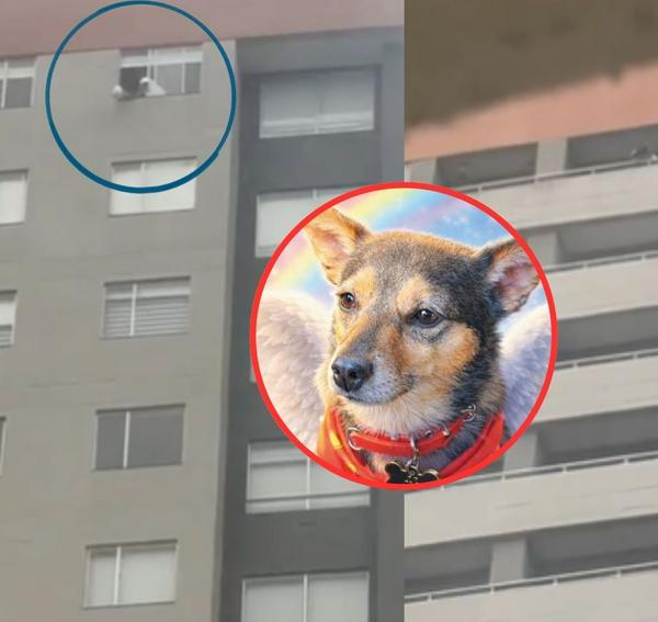 imagen principal home