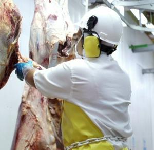 imagen nota inferior